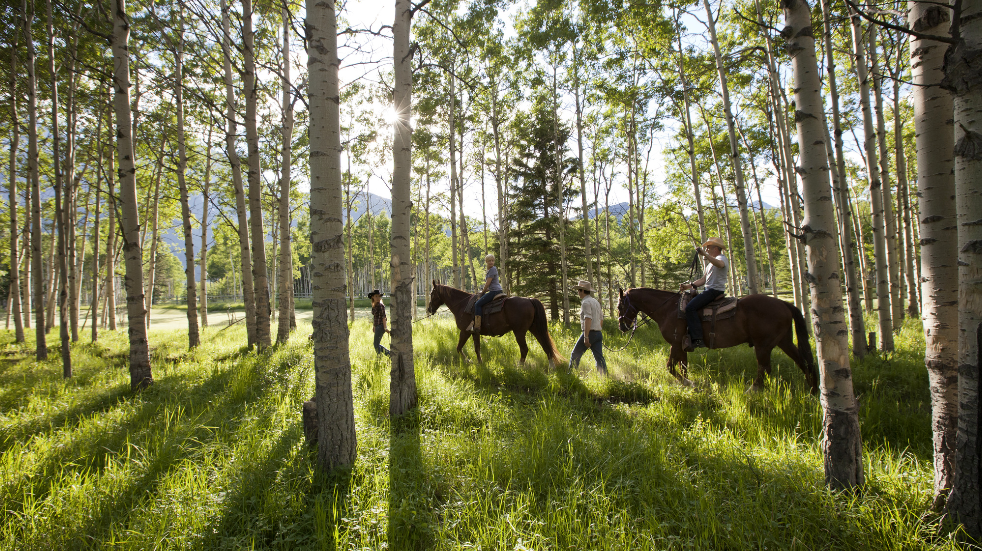 Ranch and cowboy activities in Alberta